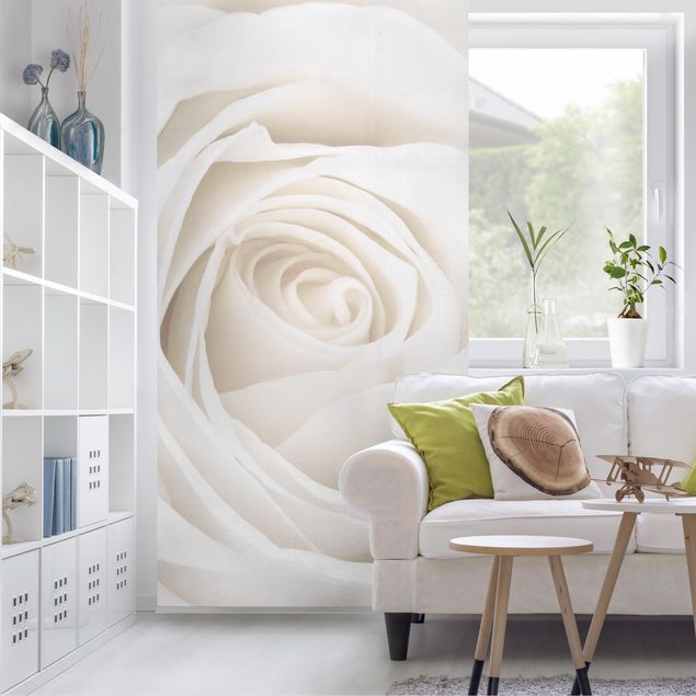 Raumteiler Pretty White Rose