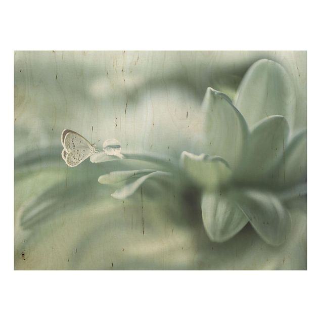 Wanddeko Küche Schmetterling und Tautropfen in Pastellgrün