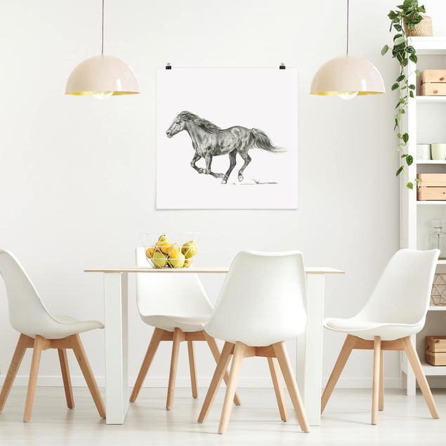 Wanddeko Küche Wildpferd-Studie - Stute