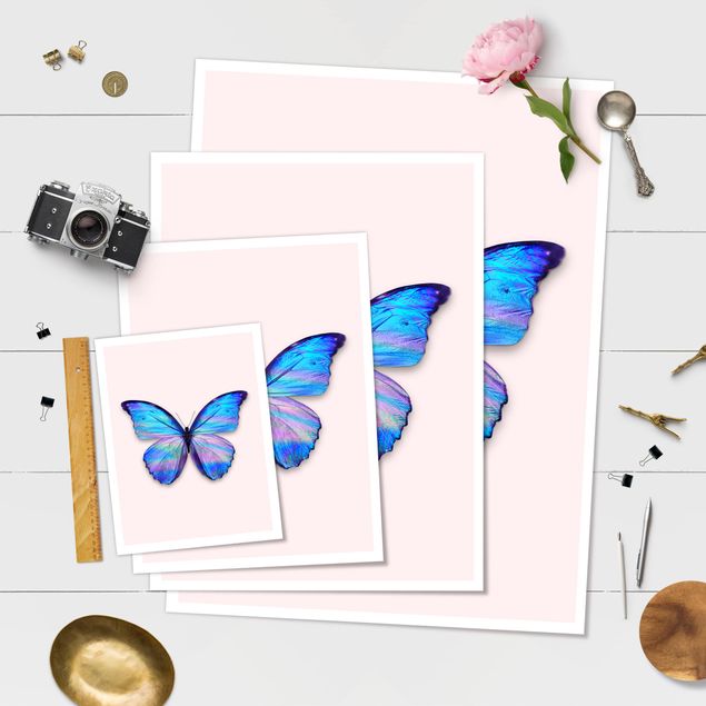 Bilder Holografischer Schmetterling