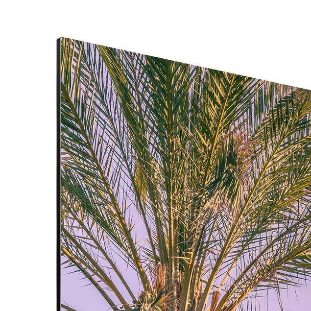 Wandbilder Kunstdrucke Palmen im Sonnenuntergang