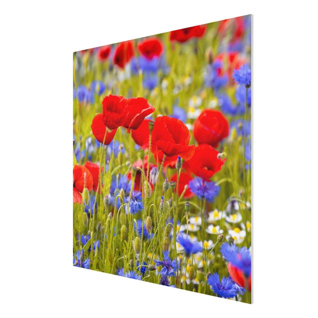 Wandbilder Floral Sommerwiese mit Mohn und Kornblumen