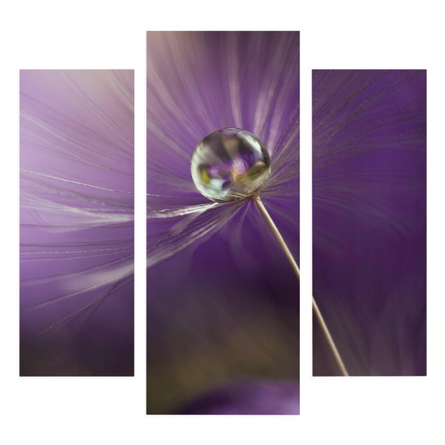 Wandbilder Blumen Pusteblume in Violett