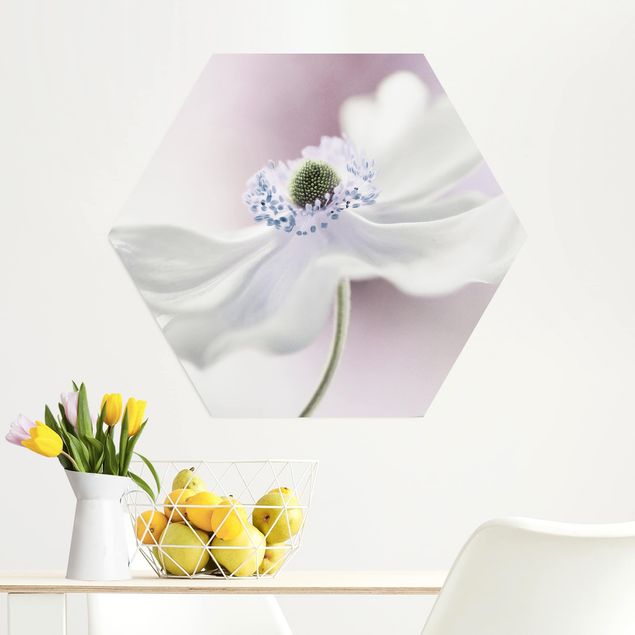 Wandbilder Floral Anemonenbrise