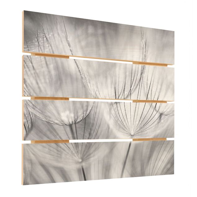 Holzbild - Pusteblumen Makroaufnahme in schwarz weiß - Quadrat 1:1