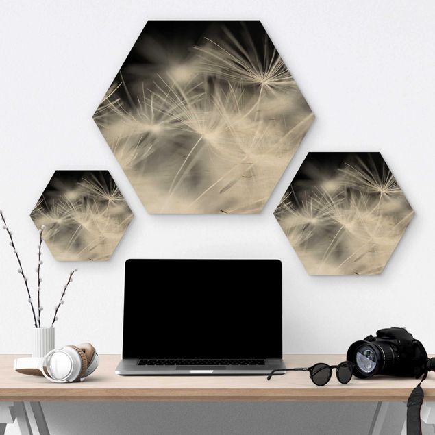 Hexagon Bild Holz - Bewegte Pusteblumen Nahaufnahme auf schwarzem Hintergrund