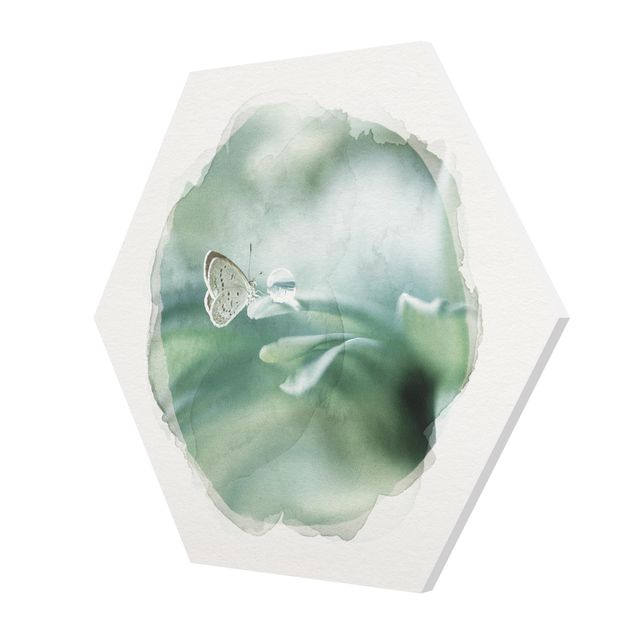 Forex Bilder Wasserfarben - Schmetterling und Tautropfen in Pastellgrün