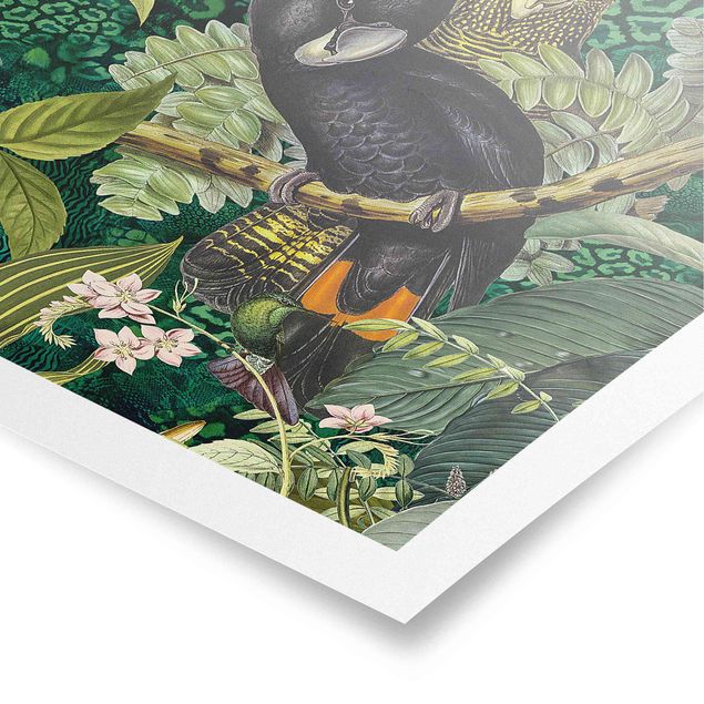 Poster Kunstdruck Bunte Collage - Kakadus im Dschungel