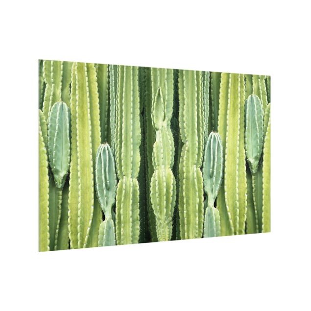 Küchenspiegel Glas Kaktus Wand