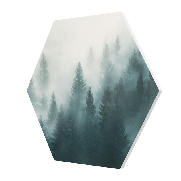 Bilder auf Hartschaumplatte Nadelwald im Nebel