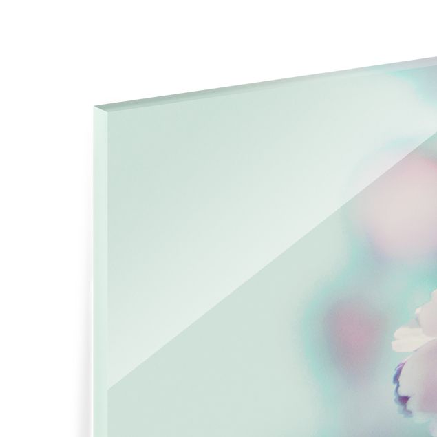 Spritzschutz Glas - Farbenfrohe Kirschblüten - Panorama 5:2