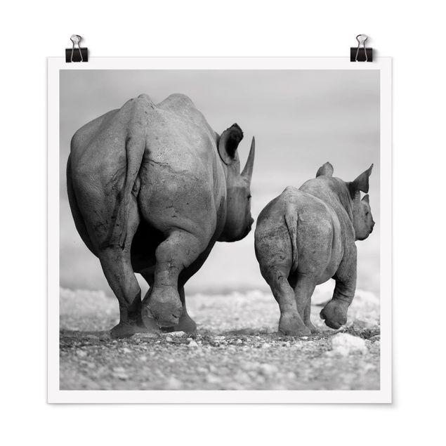 Tiere Poster Wandering Rhinos II