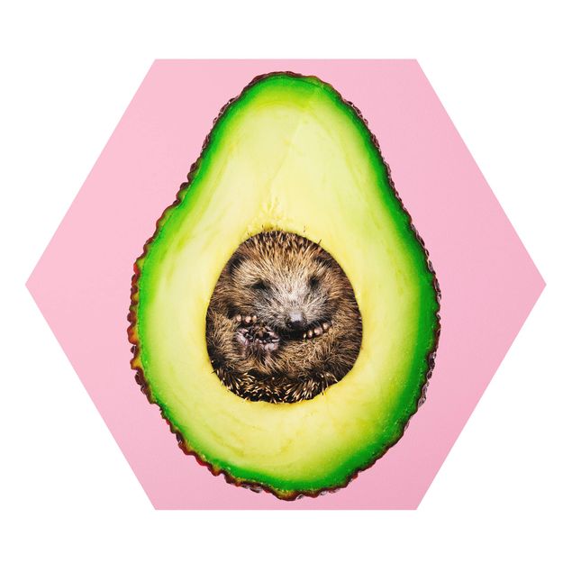Bilder auf Hartschaumplatte Avocado mit Igel
