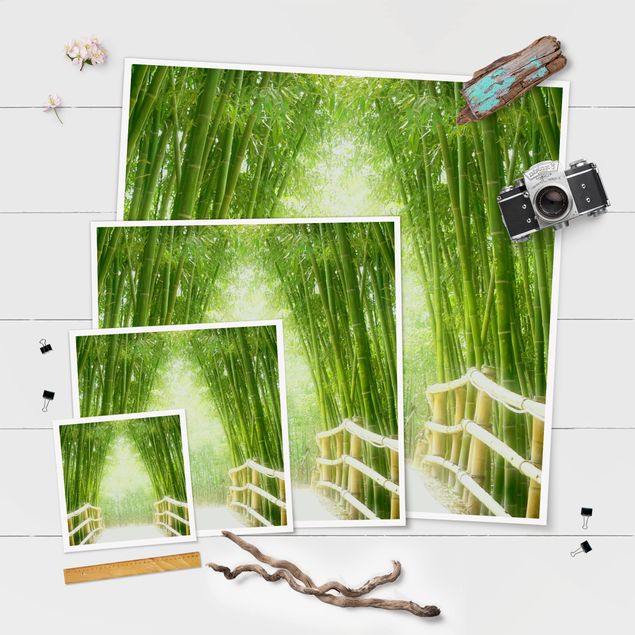 Wandbilder Natur Bamboo Way