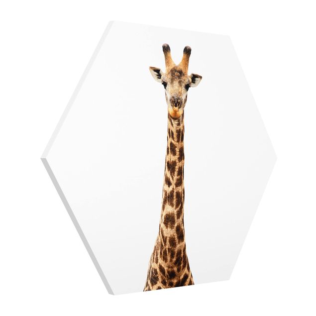 Wandbilder Tiere Giraffenkopf