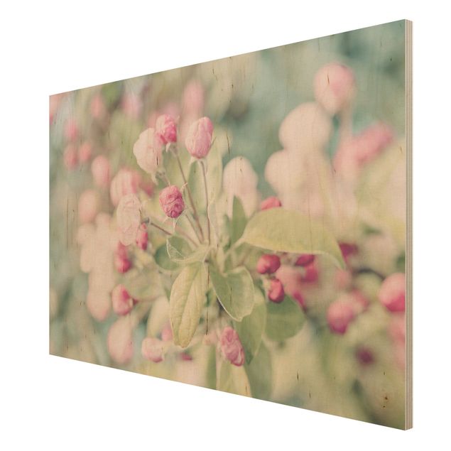 Wandbild Holz Vintage Apfelblüte Bokeh rosa