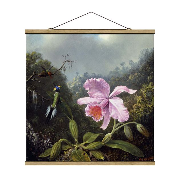 Wandbilder Floral Martin Johnson Heade - Stillleben mit Orchidee und zwei Kolibris