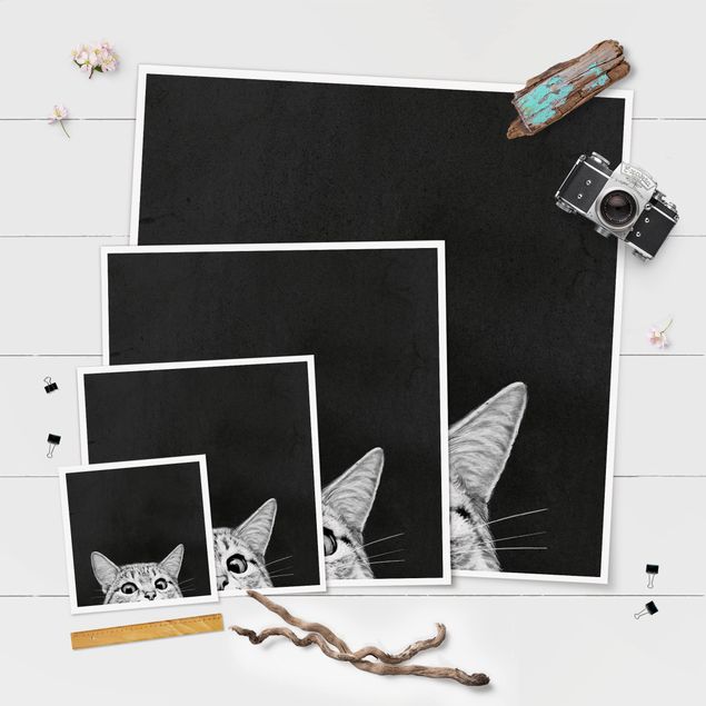Wandbilder Schwarz-Weiß Illustration Katze Schwarz Weiß Zeichnung