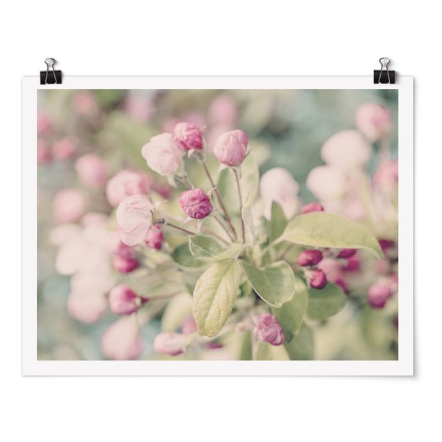 Poster Kunstdruck Apfelblüte Bokeh rosa