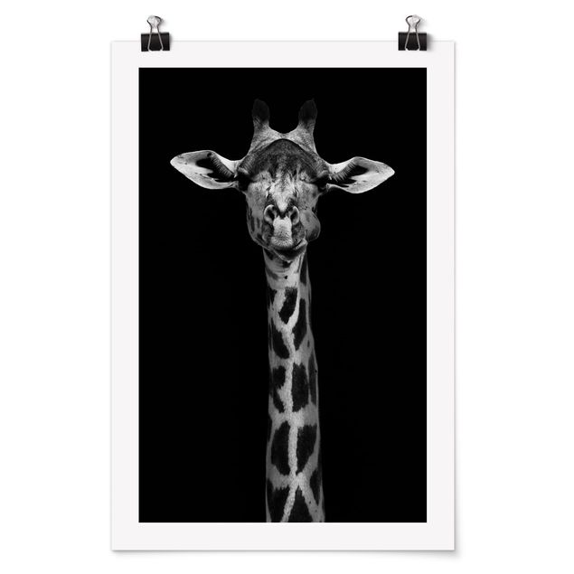Poster Tiere Dunkles Giraffen Portrait