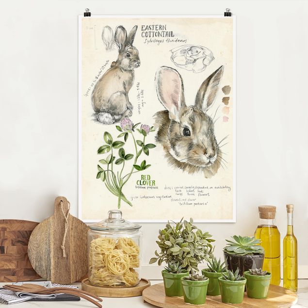 Wanddeko Küche Wildnis Journal - Kaninchen
