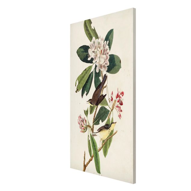 Wandbilder Floral Vintage Lehrtafel Grasmücke