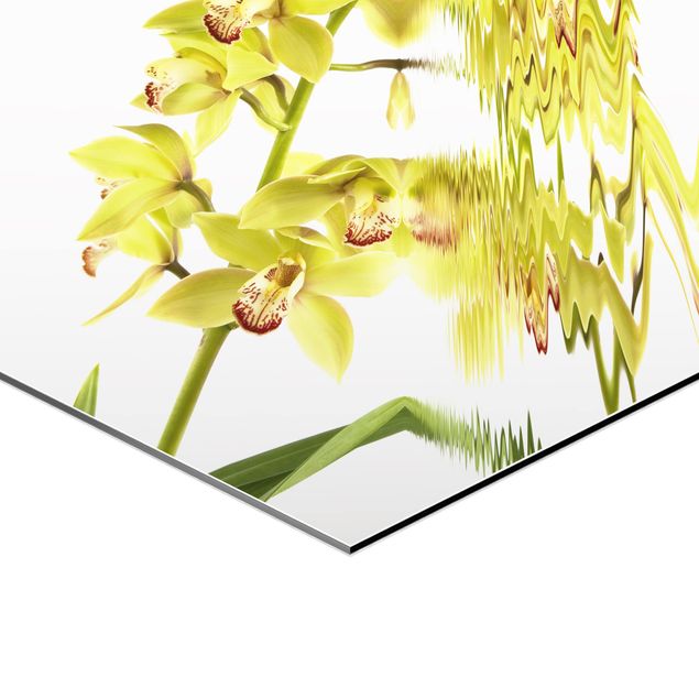 Hexagon Bilder Elegant Orchid Waters