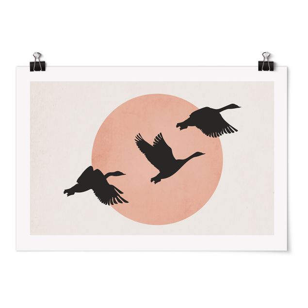 Tiere Poster Vögel vor rosa Sonne III