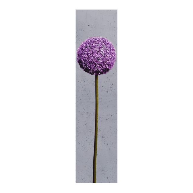 Schiebevorhang Blumen Allium Kugel-Blüten