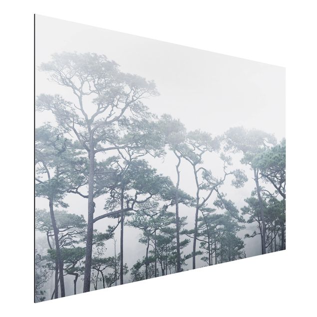 Wanddeko Küche Baumkronen im Nebel