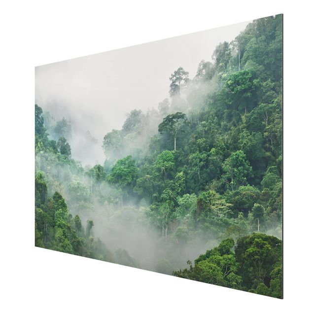 Wandbilder Landschaften Dschungel im Nebel