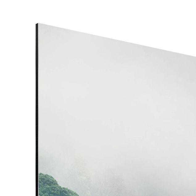 Wandbilder Floral Dschungel im Nebel