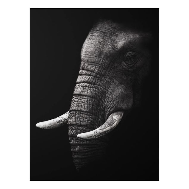 Küche Dekoration Dunkles Elefanten Portrait