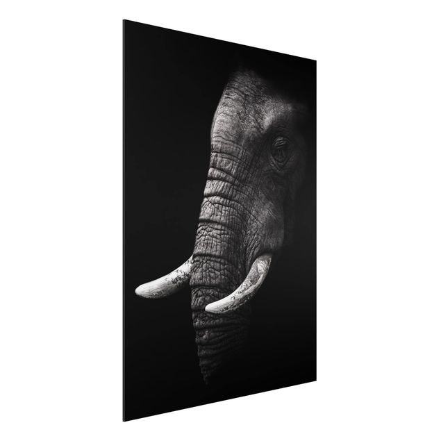 Wandbilder Elefanten Dunkles Elefanten Portrait
