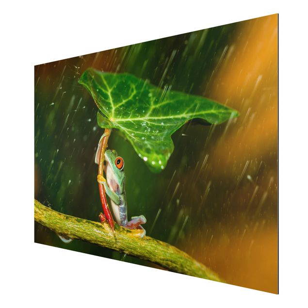 Wandbilder Blumen Ein Frosch im Regen
