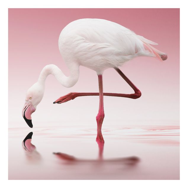 Wandbilder Federn Flamingo Dance