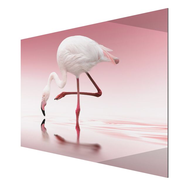 Wandbilder Afrika Flamingo Dance