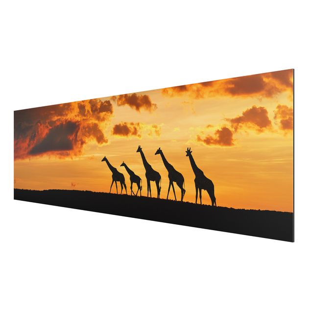 Wandbilder Landschaften Fünf Giraffen