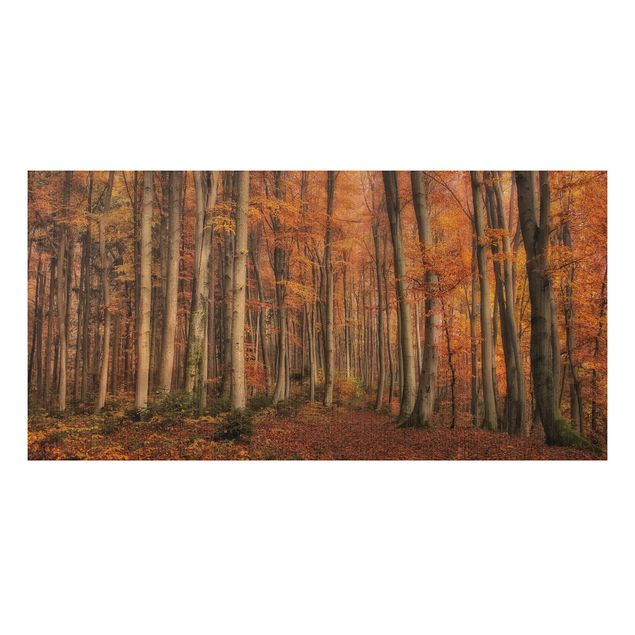 Wandbilder Bäume Herbstspaziergang