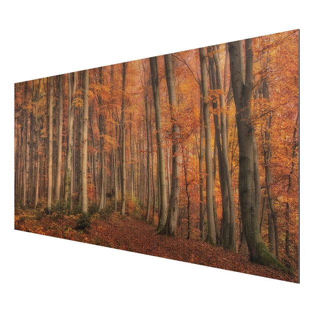 Wandbilder Landschaften Herbstspaziergang