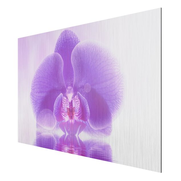 Wandbilder Floral Lila Orchidee auf Wasser