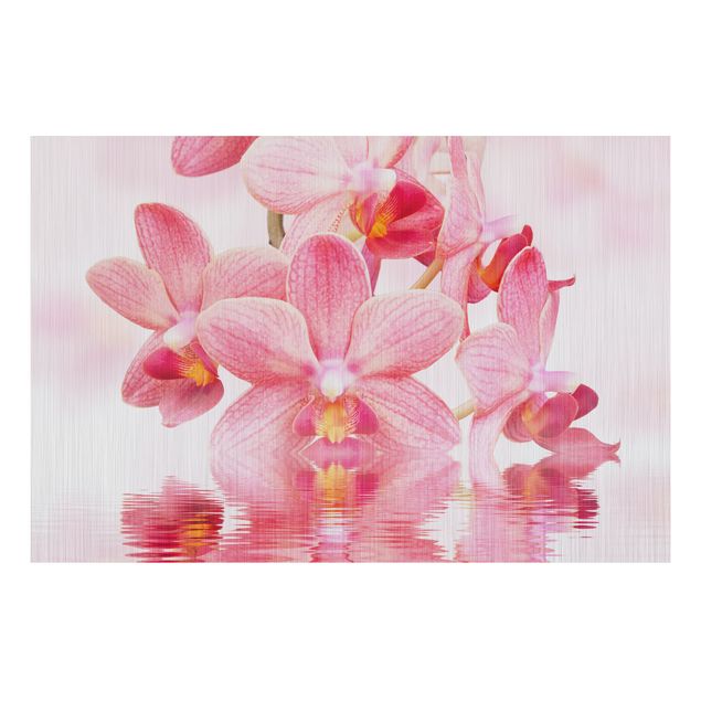 Wanddeko Küche Rosa Orchideen auf Wasser