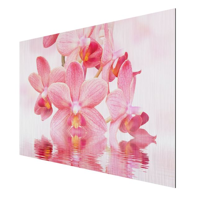Wandbilder Floral Rosa Orchideen auf Wasser