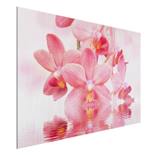 Wandbilder Orchideen Rosa Orchideen auf Wasser