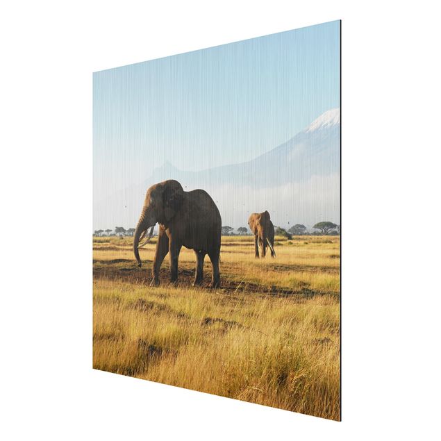Wandbilder Landschaften Elefanten vor dem Kilimanjaro in Kenya