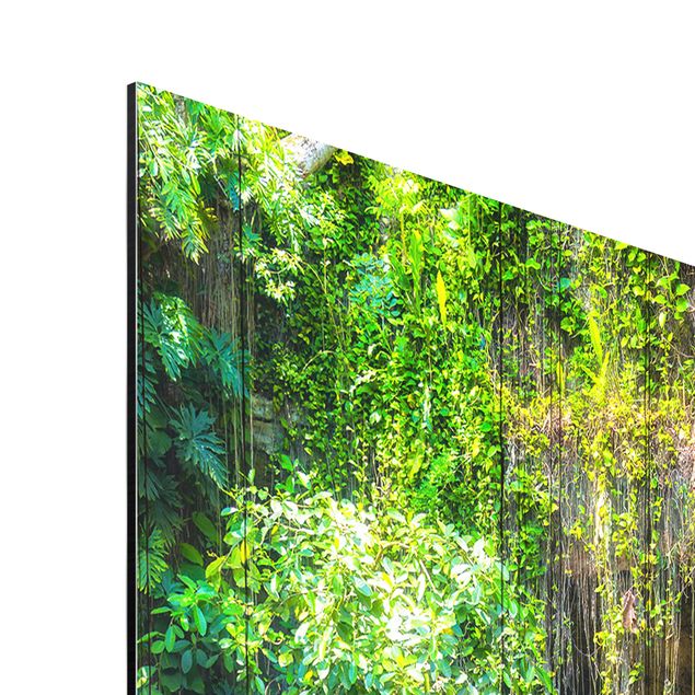 Wandbilder Natur Hängende Wurzeln von Ik-Kil Cenote