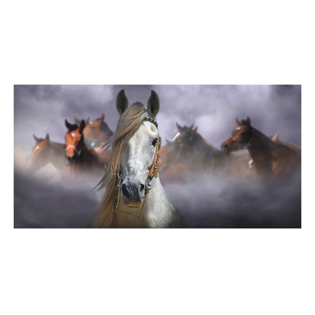 Wandbilder Pferde Horses in the Dust