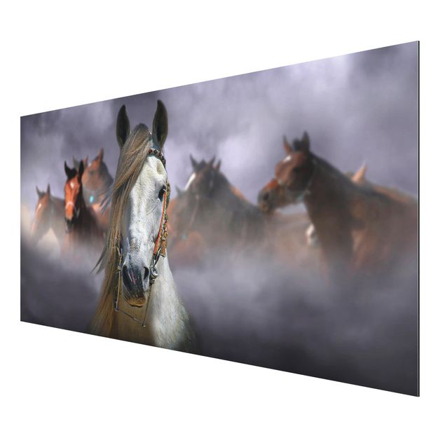 Wandbilder Modern Horses in the Dust