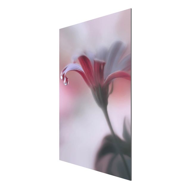 Wandbilder Blumen Invisible Touch