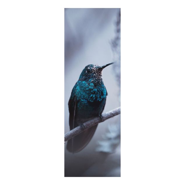 Wandbilder Federn Kolibri im Winter